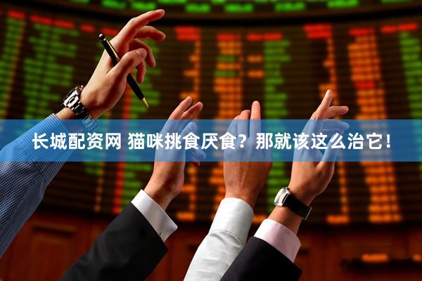 长城配资网 猫咪挑食厌食？那就该这么治它！