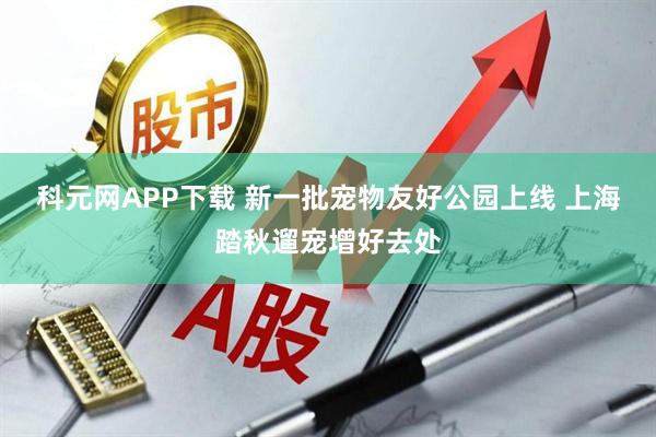 科元网APP下载 新一批宠物友好公园上线 上海踏秋遛宠增好去处