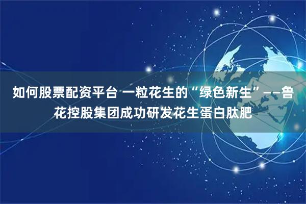 如何股票配资平台 一粒花生的“绿色新生”——鲁花控股集团成功研发花生蛋白肽肥