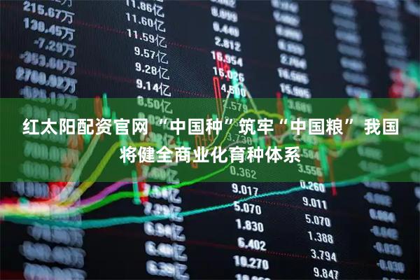 红太阳配资官网 “中国种”筑牢“中国粮” 我国将健全商业化育种体系