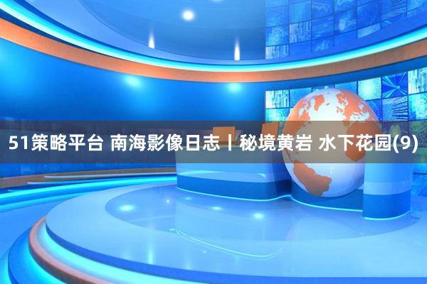 51策略平台 南海影像日志丨秘境黄岩 水下花园(9)